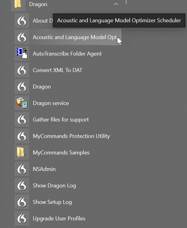 Launch Dragon acoustic and language model optimizer from start